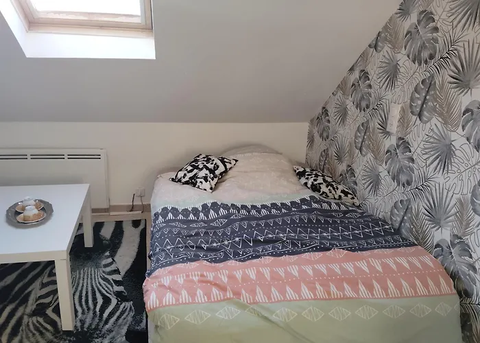 Les Comforts De Appartement Douai